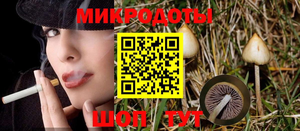 Галлюциногенные грибы Psilocybine cubensis Балахна