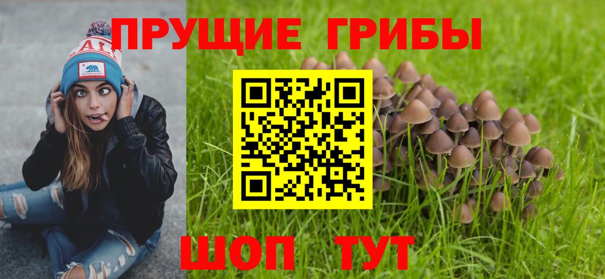 даркнет сайт  Вход с VPN  Балахна  Псилоцибиновые грибы ЛСД 